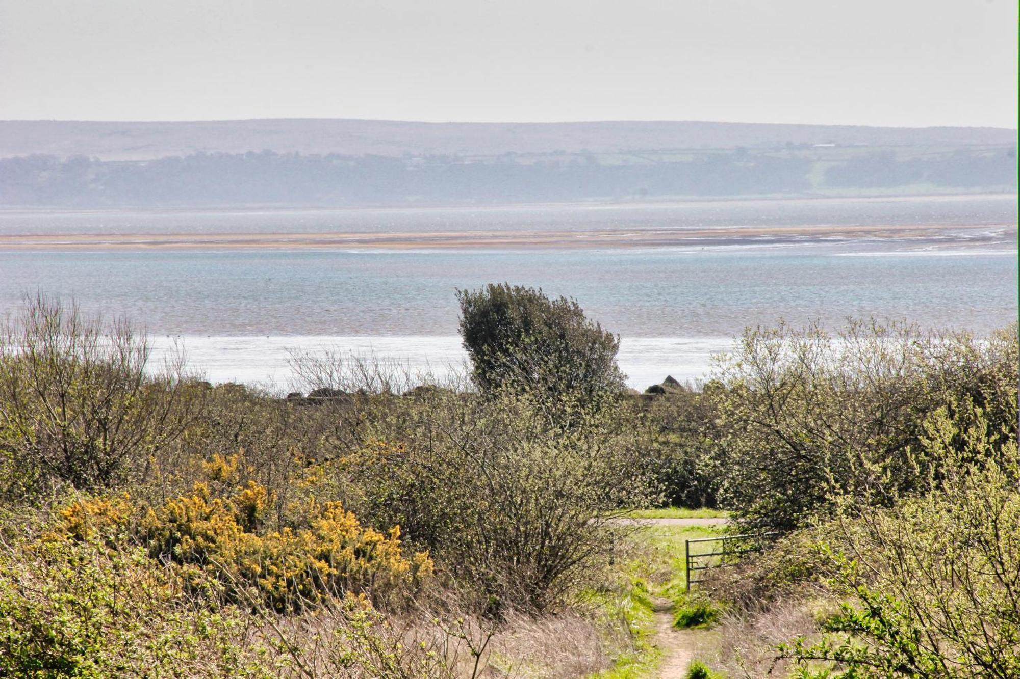 Blue Rose Cottage Burry Port Kamer foto